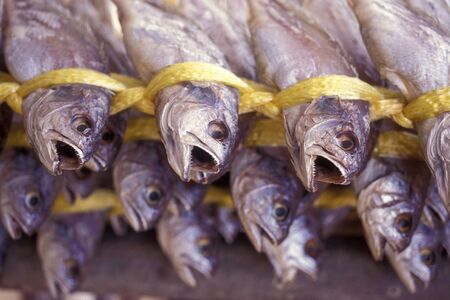 fresh fish at a fishmarket on a foodmarket market in the city of Seoul in South Korea in EastAasia.  Southkorea, Seoul, May, 2006のeditorial素材