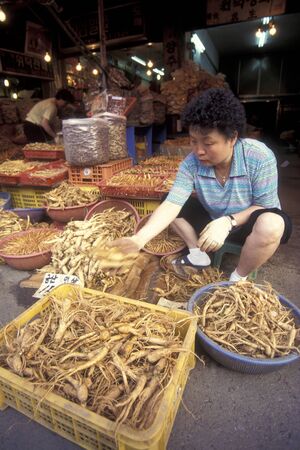 ginseng in a shop on a market in the city of Seoul in South Korea in EastAasia.  Southkorea, Seoul, May, 2006のeditorial素材
