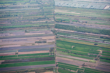 Agriculture fields north of the city of Bangkok in Thailand in Southeastasia.  Thailand, Bangkok,...