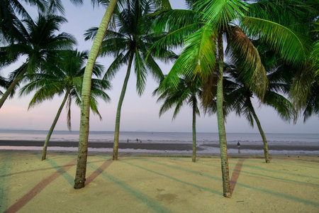 the Bang Saen Beach at the Town of Bangsaen in the Provinz Chonburi in Thailand.  Thailand,...