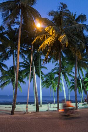 the Bang Saen Beach at the Town of Bangsaen in the Provinz Chonburi in Thailand.  Thailand, Bangsaen, November, 2018のeditorial素材