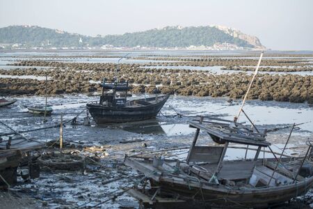 the oyster farms at the coast of the Town of Ang Sila near Beangsaen in the Provinz Chonburi in Thailand.  Thailand, Bangsaen, November, 2018のeditorial素材