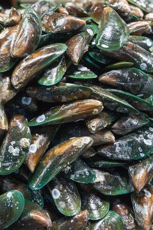 fresh mussel at the seafood and fish market at the Naklua Fish Market in the city of Pattaya in the Provinz Chonburi in Thailand.  Thailand, Pattaya, November, 2018のeditorial素材