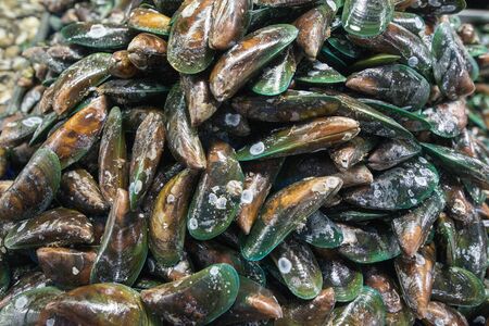 fresh mussel at the seafood and fish market at the Naklua Fish Market in the city of Pattaya in the Provinz Chonburi in Thailand.  Thailand, Pattaya, November, 2018のeditorial素材