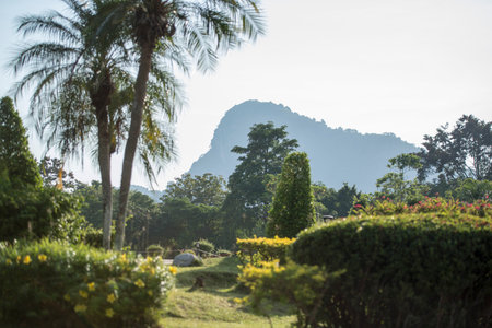 the Garden at the Buddha Cliff of Khao Chee Chan at the village of Sattahip near the city of Pattaya in the Provinz Chonburi in Thailand.  Thailand, Pattaya, November, 2018のeditorial素材