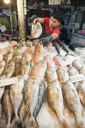 fresh fish at the seafood and fish market at the Naklua Fish Market in the city of Pattaya in the Provinz Chonburi in Thailand.  Thailand, Pattaya, November, 2018のeditorial素材