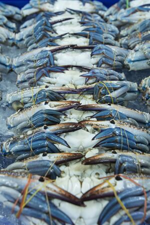 fresh crab at the seafood and fish market at the Naklua Fish Market in the city of Pattaya in the Provinz Chonburi in Thailand.  Thailand, Pattaya, November, 2018のeditorial素材