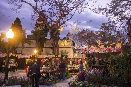 the flower market and market street at the avenida Arriaga at the Festa da Flor or Spring Flower Festival in the city of Funchal on the Island of Madeira in the Atlantic Ocean of Portugal.  Madeira, Funchal, April, 2018のeditorial素材