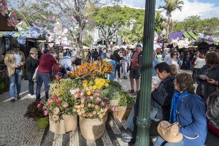 the flower market and market street at the avenida Arriaga at the Festa da Flor or Spring Flower Festival in the city of Funchal on the Island of Madeira in the Atlantic Ocean of Portugal.  Madeira, Funchal, April, 2018のeditorial素材