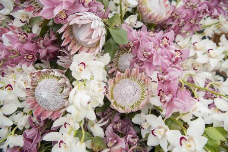the flower market and market street at the avenida Arriaga at the Festa da Flor or Spring Flower Festival in the city of Funchal on the Island of Madeira in the Atlantic Ocean of Portugal.  Madeira, Funchal, April, 2018のeditorial素材
