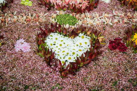colorfull flowers at the Festa da Flor or Spring Flower Festival in the city of Funchal on the...