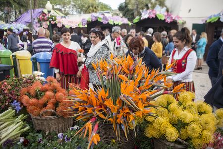 the flower market and market street at the avenida Arriaga at the Festa da Flor or Spring Flower Festival in the city of Funchal on the Island of Madeira in the Atlantic Ocean of Portugal.  Madeira, Funchal, April, 2018のeditorial素材