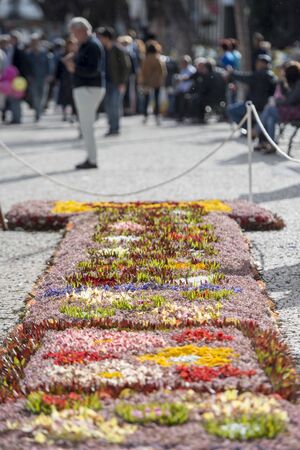 a colorfull flower carpet decoration at the avenida Arriaga at the Festa da Flor or Spring Flower Festival in the city of Funchal on the Island of Madeira in the Atlantic Ocean of Portugal.  Madeira, Funchal, April, 2018のeditorial素材