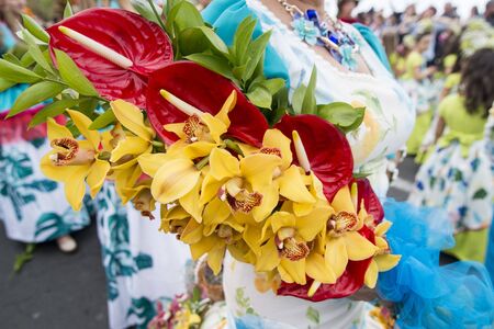 orchid at the Festa da Flor or Spring Flower Festival in the city of Funchal on the Island of Madeira in the Atlantic Ocean of Portugal.  Madeira, Funchal, April, 2018のeditorial素材