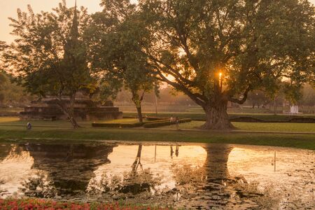 a Stupa with Landscape at the Wat Mahathat Temple at the Historical Park in Sukhothai in the Provinz Sukhothai in Thailand.   Thailand, Sukhothai, November, 2018のeditorial素材