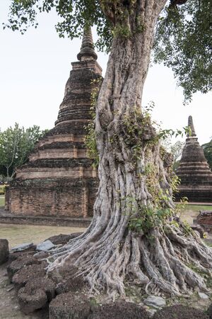 Stupa at the Wat Mahathat Temple at the Historical Park in Sukhothai in the Provinz Sukhothai in Thailand.   Thailand, Sukhothai, November, 2018のeditorial素材