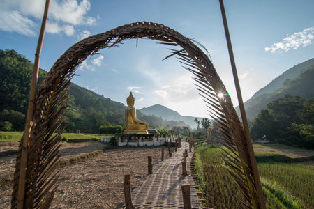 the Big Buddha of the Wat Khuha in the country side of Ban Nakhuha near the city of  Phrae in the...
