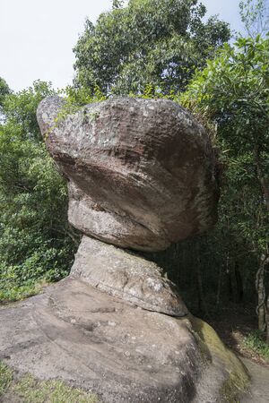 The Landscape with Forest and Rock formations at the Phu Hin Rong Kla national park near the city of  Phitsanulok in the north of Thailand.  Thailand, Phitsanulok, November, 2018.のeditorial素材