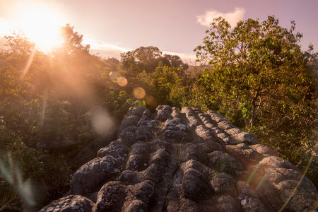 The Landscape with Forest and Rock formations at the Phu Hin Rong Kla national park near the city of...