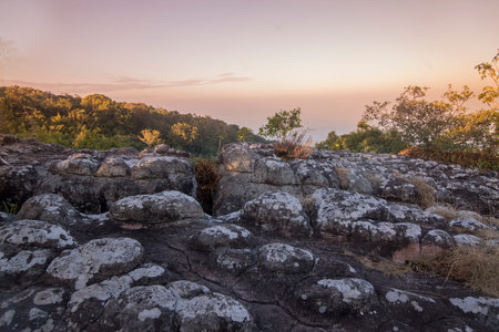 The Landscape with Forest and Rock formations at the Phu Hin Rong Kla national park near the city of  Phitsanulok in the north of Thailand.  Thailand, Phitsanulok, November, 2018.のeditorial素材