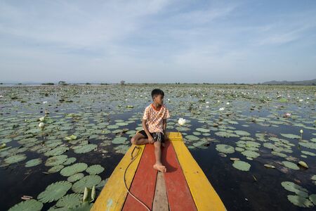a Lotus Flower plantation at the Kamping Pouy Lake near the city of Battambang in Cambodia.  Cambodia, Battambang, November, 2018のeditorial素材