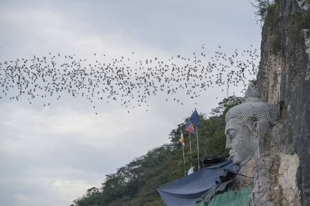 Bath flying out of the Bath Cave at Mount Phnom Sompov near the city of Battambang in Cambodia.  Cambodia, Battambang, November, 2018のeditorial素材