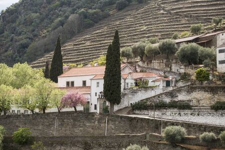 a winery in the Landscape of the Douro River at the town Pinhao east of Porto in Portugal in Europe.  Portugal, Regua, April, 2019のeditorial素材