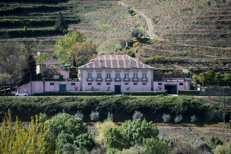 a winery in the Landscape of the Douro River at the town of Reso da Regua, east of Porto in Portugal in Europe.  Portugal, Regua, April, 2019のeditorial素材