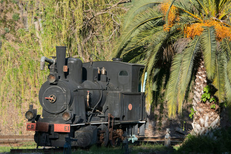 old train stay at the Railway station in the town of Peso da Regua on the Douro river, east of Porto...