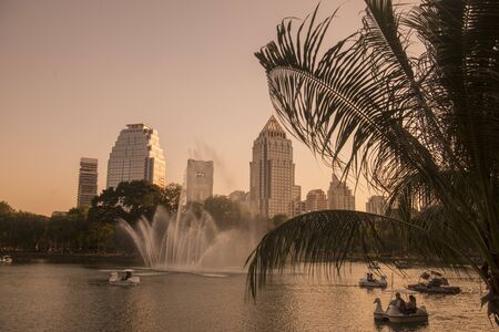 The Lumphini Park with the Skyline in the city of Bangkok in Thailand in Southest Asia.  Thailand, Bangkok, November, 2019のeditorial素材