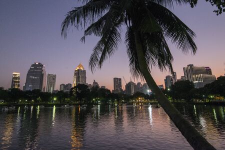 The Lumphini Park with the Skyline in the city of Bangkok in Thailand in Southest Asia.  Thailand, Bangkok, November, 2019のeditorial素材