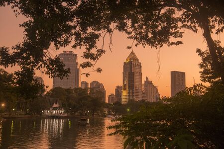 The Lumphini Park with the Skyline in the city of Bangkok in Thailand in Southest Asia.  Thailand, Bangkok, November, 2019のeditorial素材