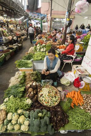 fresh vegetable at the food market in the town of Mae Sai on the Border to Myanmar in the Chiang Rai Province in North Thailand.   Thailand, Mae Sai, November, 2019のeditorial素材