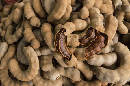 tamarind at the food market in the town of Mae Sai on the Border to Myanmar in the Chiang Rai Province in North Thailand.   Thailand, Mae Sai, November, 2019のeditorial素材