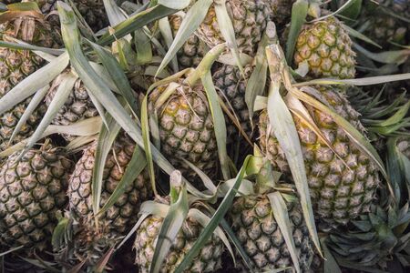 pineapple at the food market in the town of Kamphaeng Phet in the Kamphaeng Phet Province in North Thailand.   Thailand, Kamphaeng Phet, November, 2019のeditorial素材