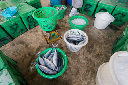 fresh Tuna Fish at the fishing village of Sai Noi near the Town of Pranburi on the Golf of Thailand south the Town of Hua Hin in Thailand.   Thailand, Hua Hin, November, 2019のeditorial素材