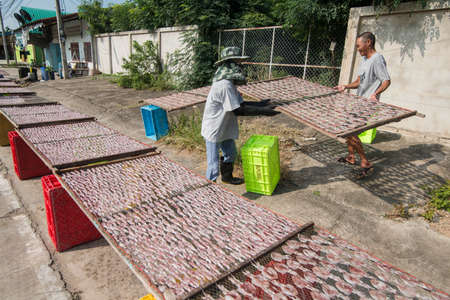a dry seafood production in the fishing village of Sai Noi near the Town of Pranburi on the Golf of Thailand south the Town of Hua Hin in Thailand.   Thailand, Hua Hin, November, 2019のeditorial素材