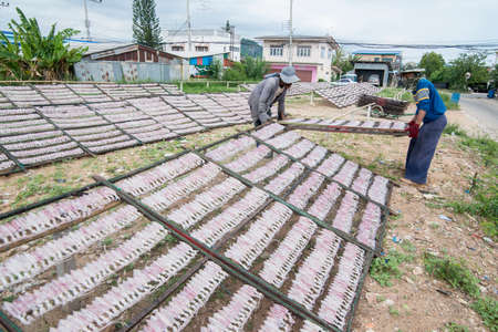 a dry seafood production in the fishing village of Sai Noi near the Town of Pranburi on the Golf of Thailand south the Town of Hua Hin in Thailand.   Thailand, Hua Hin, November, 2019のeditorial素材