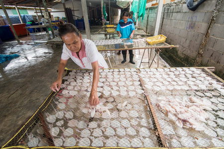 a dry seafood production in the fishing village of Sai Noi near the Town of Pranburi on the Golf of...