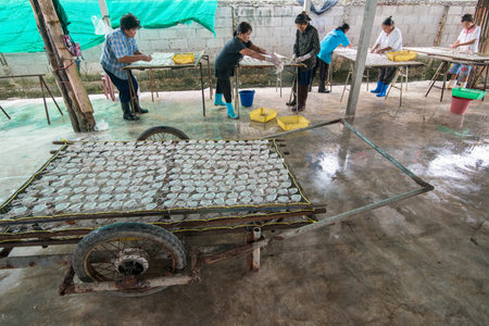 a dry seafood production in the fishing village of Sai Noi near the Town of Pranburi on the Golf of...