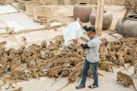 Monkeys get feeding at the Wat Khao Takiap or Monkey Temple near the City of Hua Hin in Thailand.   Thailand, Hua Hin, November, 2019のeditorial素材