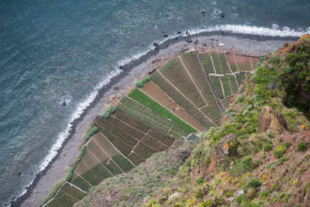 the agriculture and landscape at the coast near town of Ponta do Sol, west of Funchal on the Island Madeira of Portugal.   Portugal, Madeira, April 2018のeditorial素材