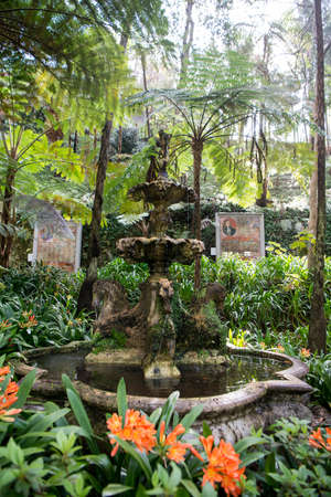 art and culture in the Jardim Tropical or Tropical Garden in the city centre of Funchal on the Island Madeira of Portugal.   Portugal, Madeira, April 2018のeditorial素材