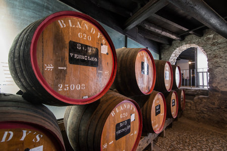 the wine barrel at the wine cellar in the Madeira wine company of Blandys in the city centre of...