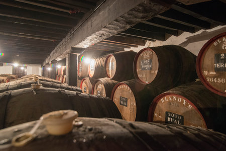 the wine barrel at the wine cellar in the Madeira wine company of Blandys in the city centre of...