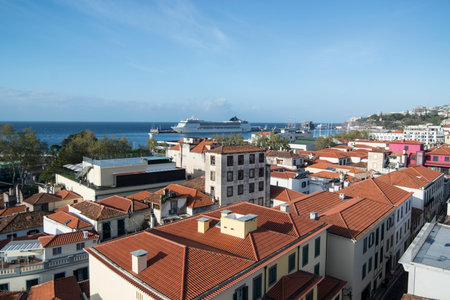 the city centre of Funchal at night on the Island Madeira of Portugal.   Portugal, Madeira, April 2018のeditorial素材