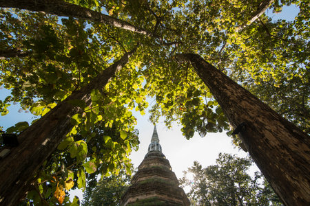 the wat Phra That Chedi Luang in the town of Chiang Saen in the north of the city Chiang Rai in...