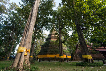 the wat Phra That Chedi Luang in the town of Chiang Saen in the north of the city Chiang Rai in North Thailand.   Thailand, Chiang Sean, November, 2019のeditorial素材