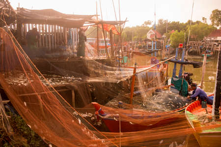 a Fishing Family at the fishingboat Harbour on the Gulf of Thailand in the Ban Laem District near the city of Phetchaburi or Phetburi in the province of Phetchaburi in Thailand.   Thailand, Phetburi, November, 2019のeditorial素材