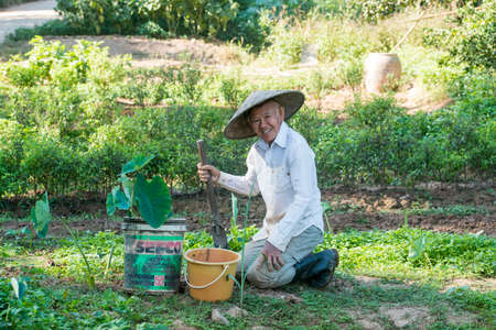 a farmer at work at the Mekong River in the Town of Chiang Khong in the province of Chiang Raii in Thailand.   Thailand, Chiang Khong, November, 2019のeditorial素材